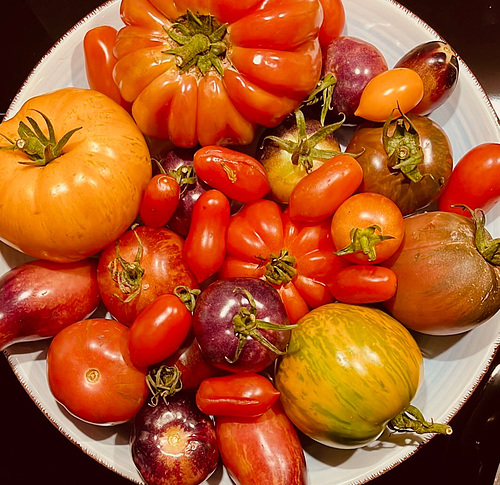 Tomaten