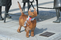 Hund in der Stadt
