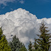 (116/365) Mount Cloud