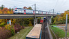 151014 Othmarsingen sdm 2