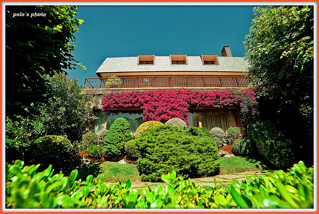 Casa con jardín