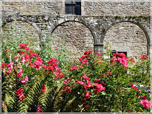 A l'abbaye de Léhon (22)