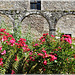 A l'abbaye de Léhon (22)