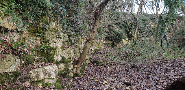 St-y-Nyll Quarry