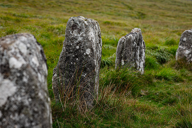 Grey Wethers Stone Circles - 20230809- DSC9677