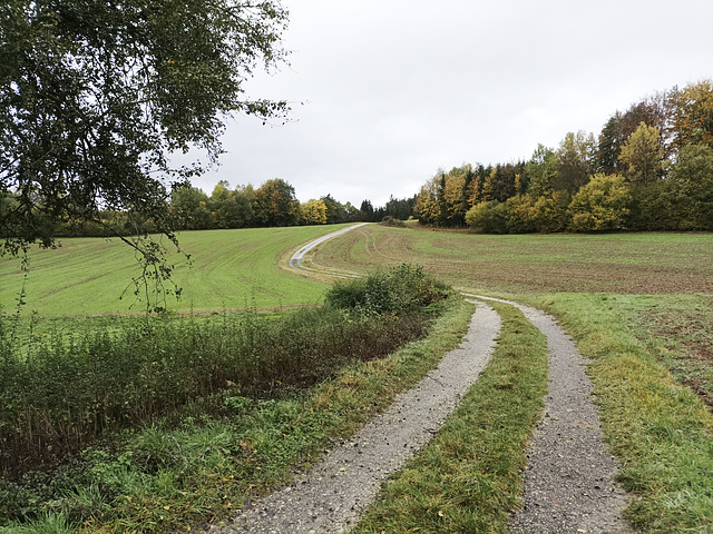 Fränkischer Jakobsweg: Pegnitz - Betzenstein