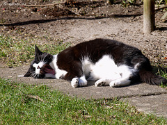 Spring yawn...