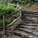 Fence and steps to….the top