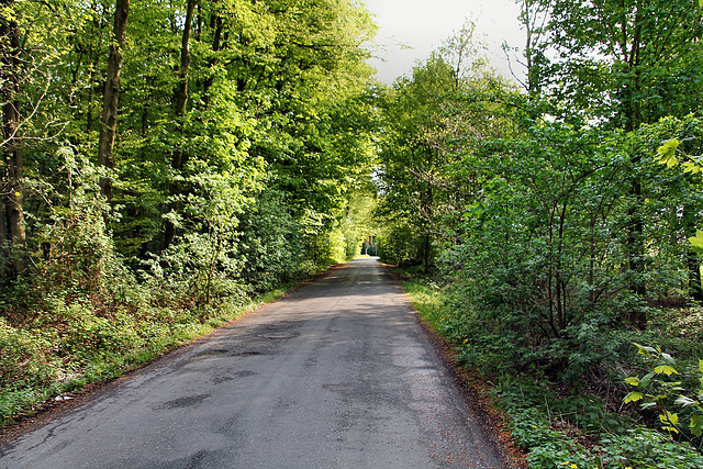 Langenbochumer Straße (Marl) / 22.04.2018