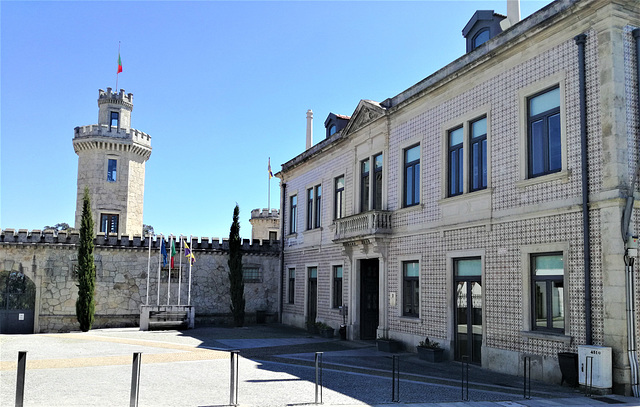 Albergaria-a-Velha Municipal Library