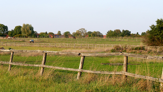 So viele Zäune... / So many fences... HFF!