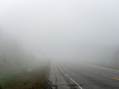 What we drove into, Kananaskis