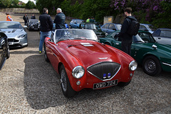 bobbmay272024 (1064)