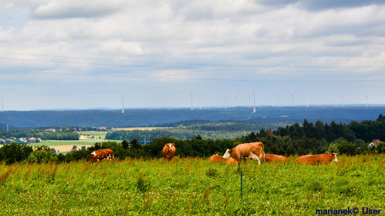 Schwäbischen Naturpark