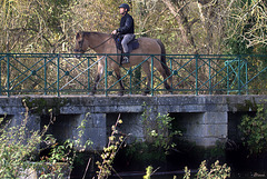 Sur le Pont de Manse