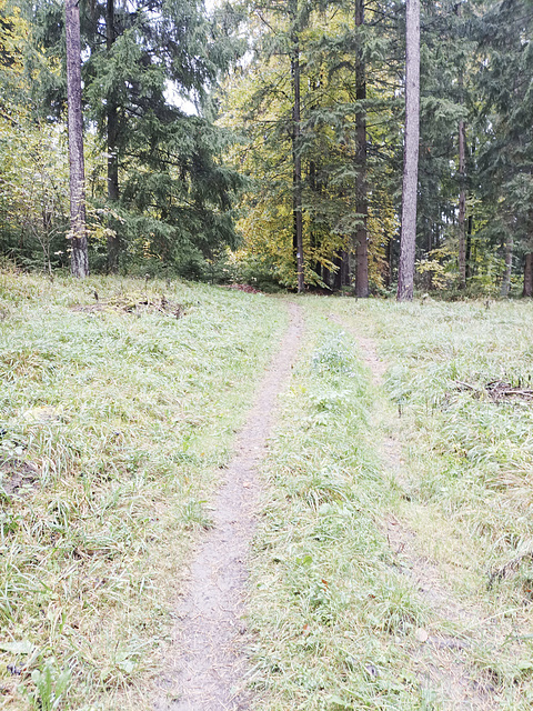 Fränkischer Jakobsweg: Pegnitz - Betzenstein