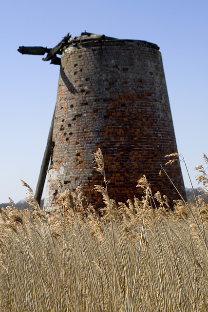 Reeds and Windpump