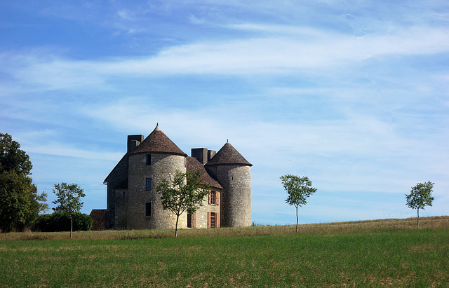 Château de Bourgon VALENCE (16)