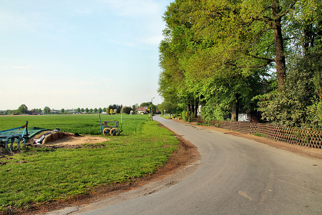 Langenbochumer Straße (Marl) / 22.04.2018