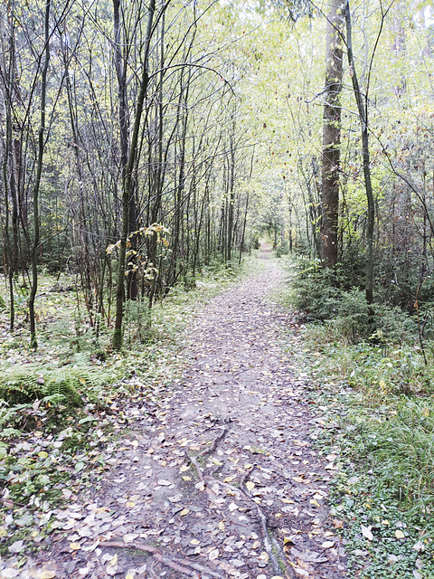 Fränkischer Jakobsweg: Pegnitz - Betzenstein