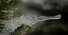 Der Kopf eines Eiskrokodils :)) The head of an ice crocodile :)) La tête d'un crocodile des glaces :)) Der Kopf eines Eiskrokodils :)) The head of an ice crocodile :)) La tête d'un crocodile des glaces :))