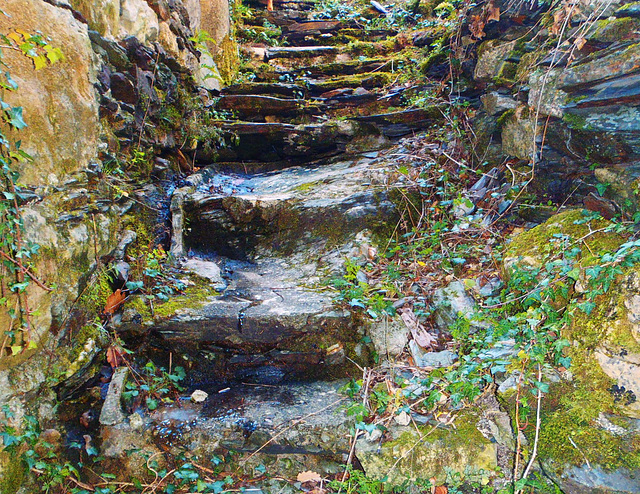 13-Escalier rustique