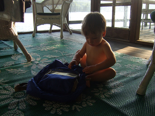 Shepherd and Knapsack #1