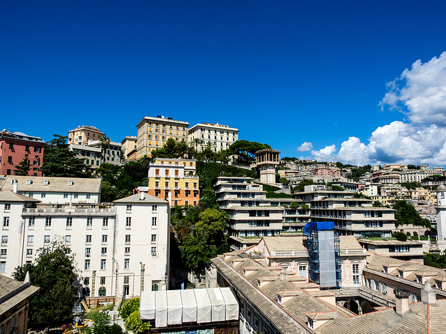 Genova