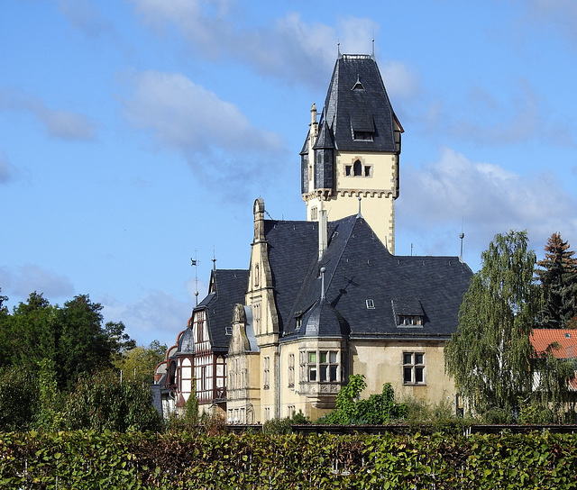 Wiperti Gartenbau, Quedlinburg