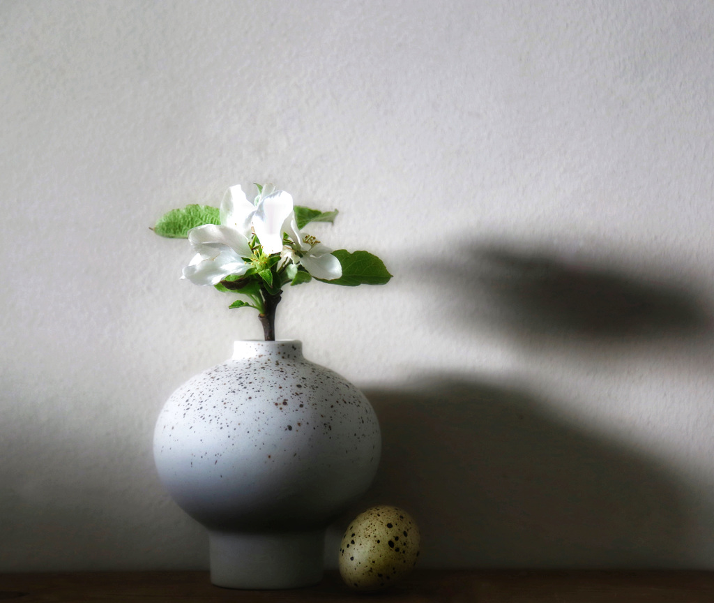 sunday apple blossom 2