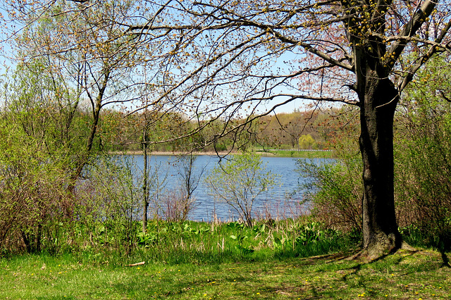 Stoney Creek Metropark