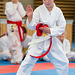 kj-karate-238 15610750318 o