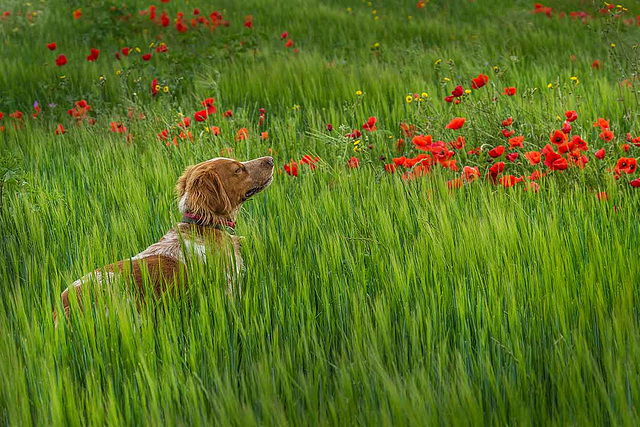 L'air du temps...Au printemps