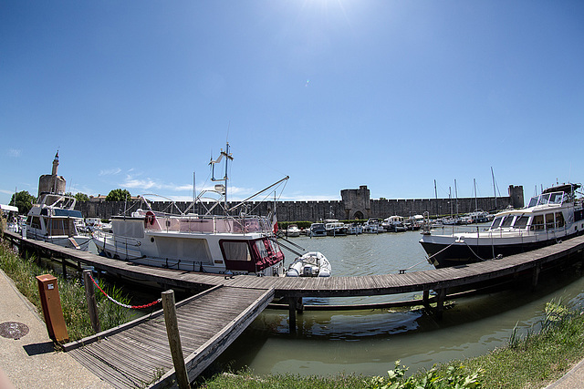 20150517 7847VRFw [R~F] Aiges Mortes, Camargue