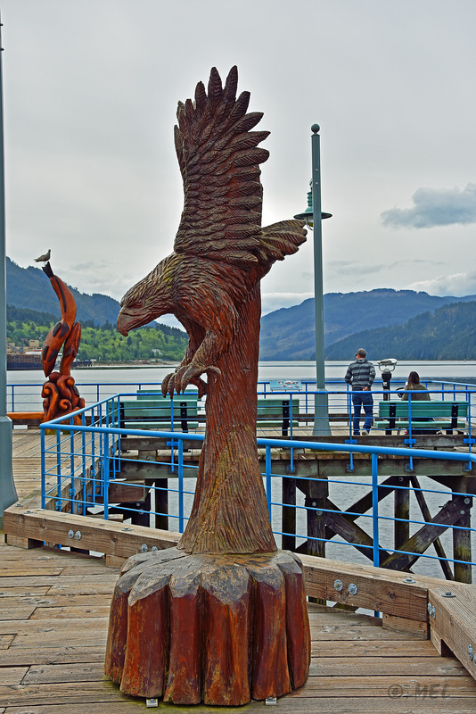 Der Zaun in Tofino