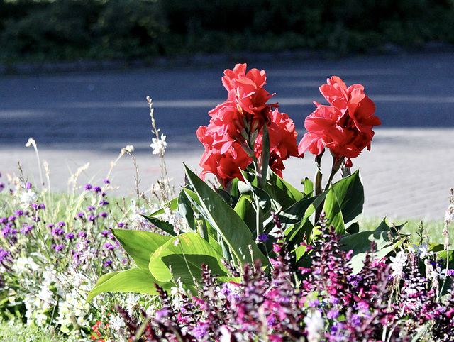 Blumenschmuck in einem Park