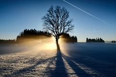 Wintersonne