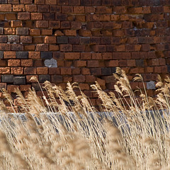 Bricks and reeds
