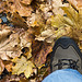One foot in autumn
