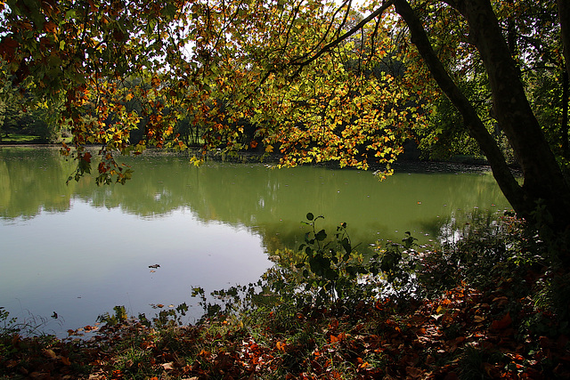 Au début de l'automne