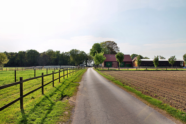 Linder Weg (Marl) / 22.04.2018