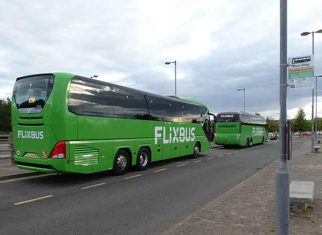 Whippet Coaches (Flixbus contractor) FX33 and FX29 at Trumpington - 23 Jul 2022 (P1120737)