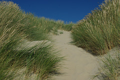 Dans la dune !