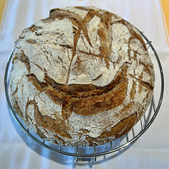 When you want to check out what the cavemen ate, bake yourself a sourdough Spelt loaf!