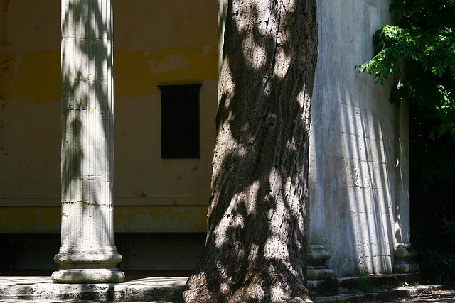 Columns