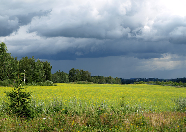 Vataker, Sandefjord