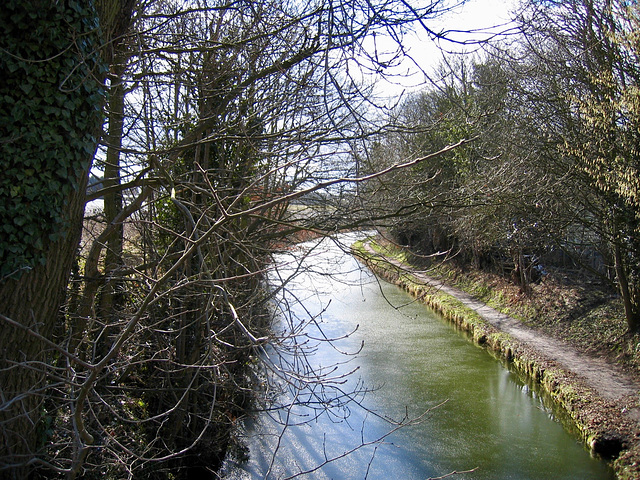 Stourbridge Canal, Newtown Bridge