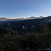 Im Alishan-Gebirge: die Sonne kommt über den Bergkamm