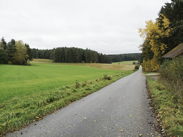 Fränkischer Jakobsweg: Pegnitz - Betzenstein