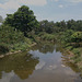 Route de rêve pour canards thaïlandais / Dreamy road for thai docks